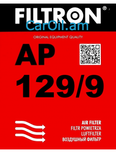 Filtron AP 129/9